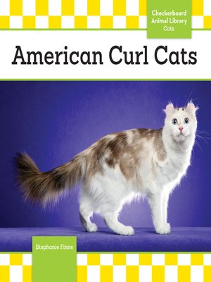 cover image of American Curl Cats